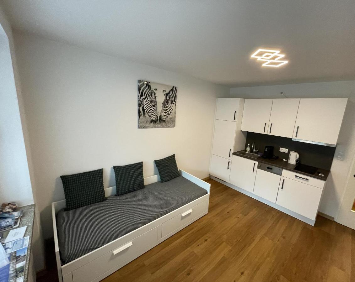 Vidaoro Studio Flat Zell am See Luaran gambar